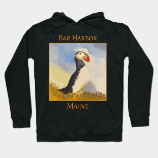 Puffin of the Eastern Egg Island outside of Bar Harbor Maine Hoodie